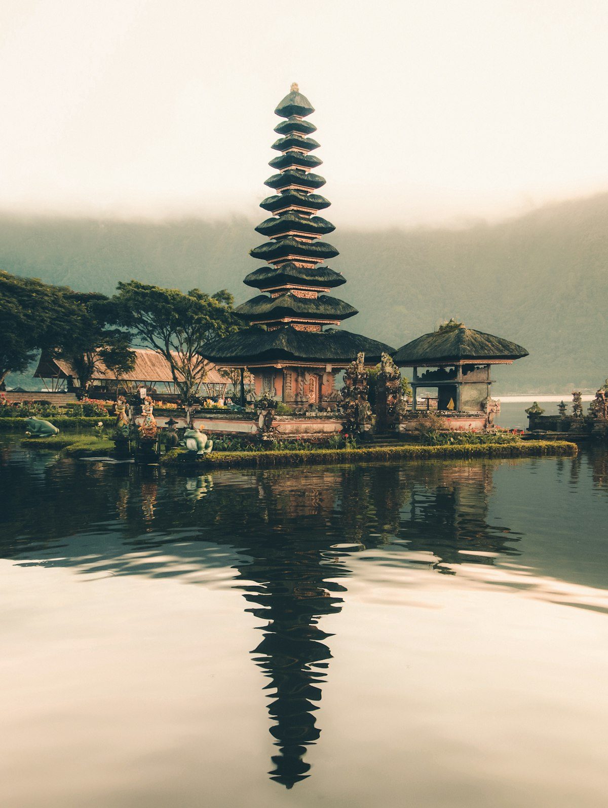 Bali rice terrace photo